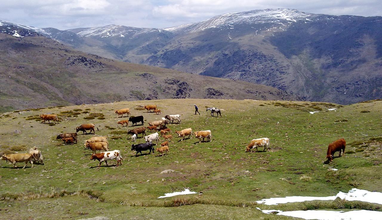 Refugio Alpujarra Alta Trevélez Exterior photo
