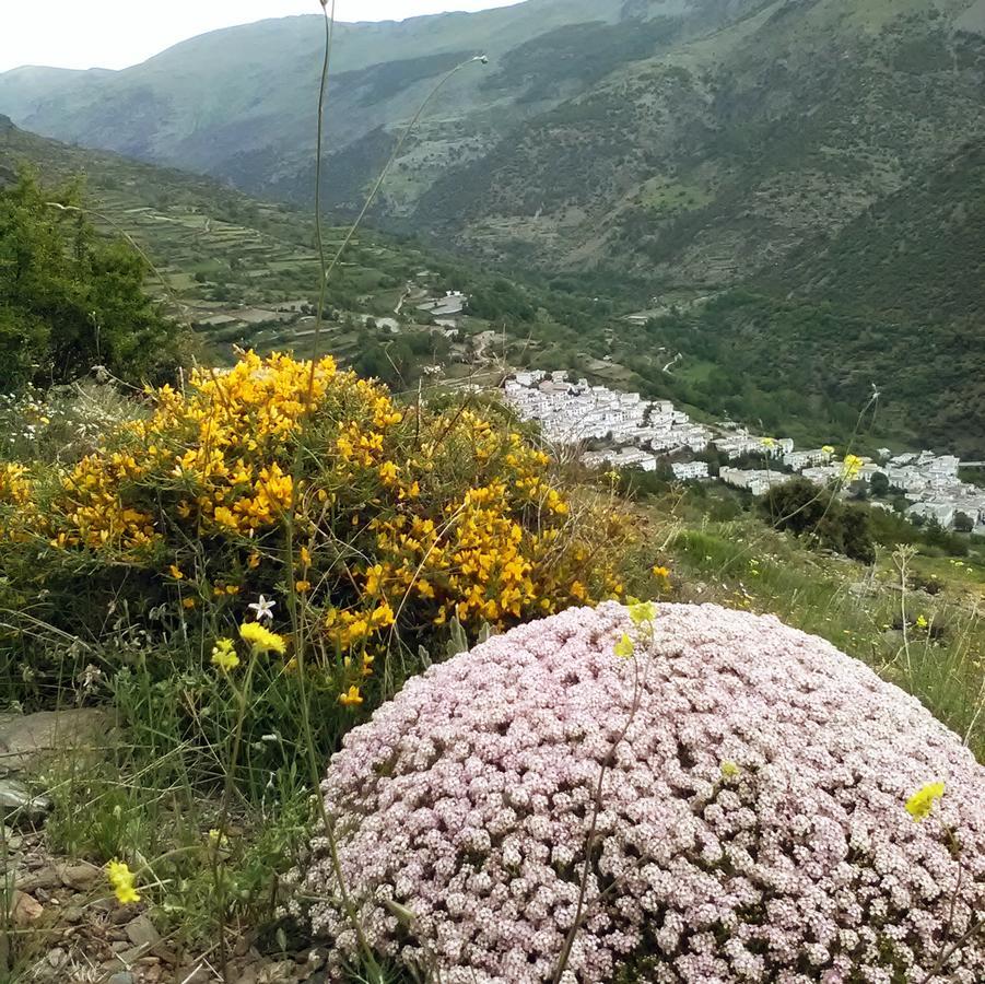 Refugio Alpujarra Alta Trevélez Exterior photo